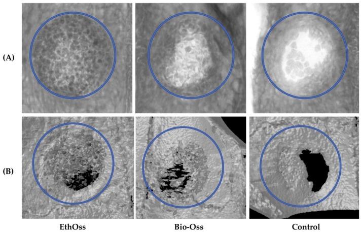https://cdn.ncbi.nlm.nih.gov/pmc/blobs/5602/6213059/3671dcefa6f2/materials-11-02004-g003.jpg