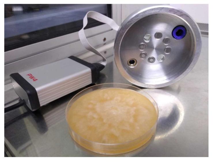 https://cdn.ncbi.nlm.nih.gov/pmc/blobs/5603/7918289/92c4d24addec/sensors-21-01326-g001.jpg