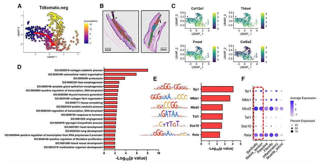 https://cdn.ncbi.nlm.nih.gov/pmc/blobs/5603/9741867/71d96889f3b5/nihms-1852536-f0005.jpg