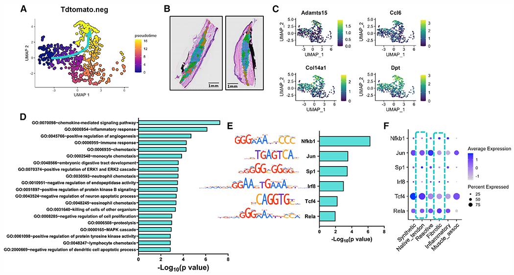 https://cdn.ncbi.nlm.nih.gov/pmc/blobs/5603/9741867/be8cb973539c/nihms-1852536-f0004.jpg