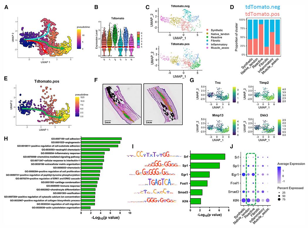https://cdn.ncbi.nlm.nih.gov/pmc/blobs/5603/9741867/fdd641b72fd8/nihms-1852536-f0003.jpg