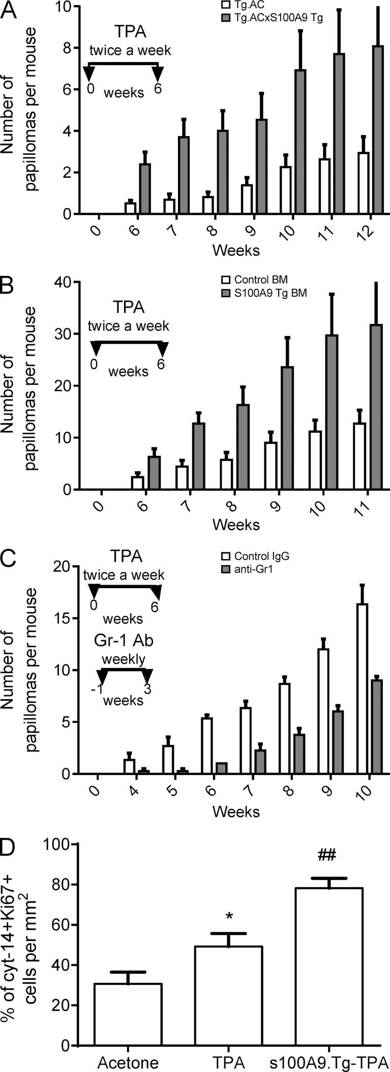 https://cdn.ncbi.nlm.nih.gov/pmc/blobs/5604/4354367/ddc59f5fad5b/JEM_20140835_Fig3.jpg