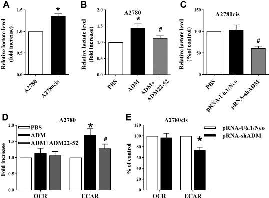 https://cdn.ncbi.nlm.nih.gov/pmc/blobs/5607/10318923/30ee6554641c/j_jtim-2023-0091_fig_003.jpg