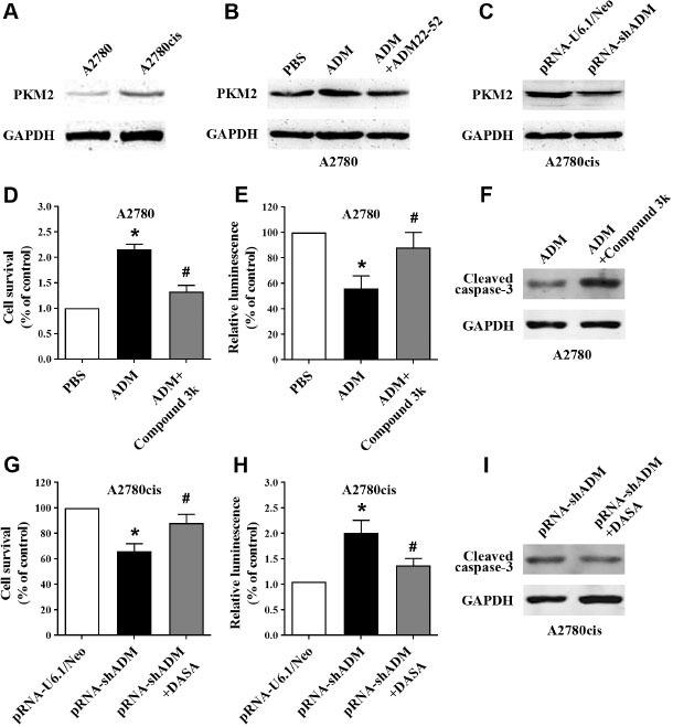 https://cdn.ncbi.nlm.nih.gov/pmc/blobs/5607/10318923/4bfb8dea8c7e/j_jtim-2023-0091_fig_004.jpg