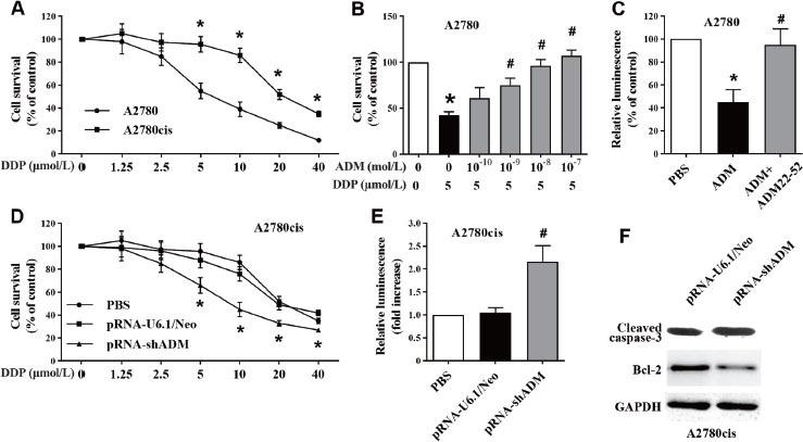 https://cdn.ncbi.nlm.nih.gov/pmc/blobs/5607/10318923/fd7b9309d0d1/j_jtim-2023-0091_fig_002.jpg