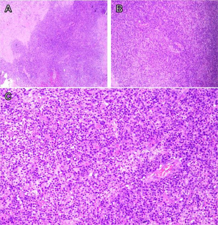 https://cdn.ncbi.nlm.nih.gov/pmc/blobs/5608/10883778/751c27d91869/gr3.jpg