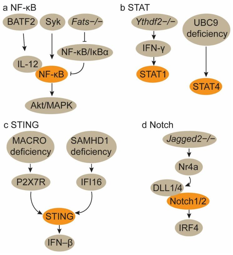 https://cdn.ncbi.nlm.nih.gov/pmc/blobs/5608/12210125/52f4dcb4dcb7/ijbsv21p4098g002.jpg