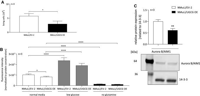 https://cdn.ncbi.nlm.nih.gov/pmc/blobs/560a/11071970/126a4aafa1a7/18_2021_3958_Fig7_HTML.jpg