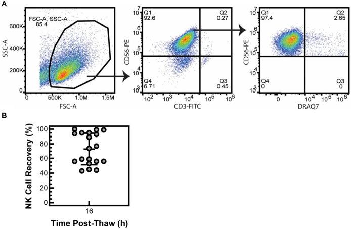 https://cdn.ncbi.nlm.nih.gov/pmc/blobs/560a/9022621/18d41d825160/fimmu-13-861681-g001.jpg
