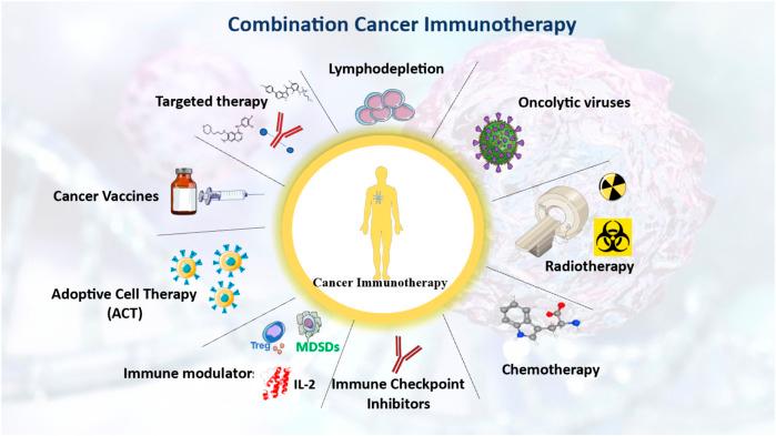 https://cdn.ncbi.nlm.nih.gov/pmc/blobs/560c/12202542/b35fef330cb4/fphar-16-1602529-g003.jpg