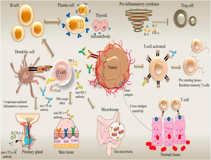 https://cdn.ncbi.nlm.nih.gov/pmc/blobs/560c/12202542/ffd79daf159b/fphar-16-1602529-g002.jpg