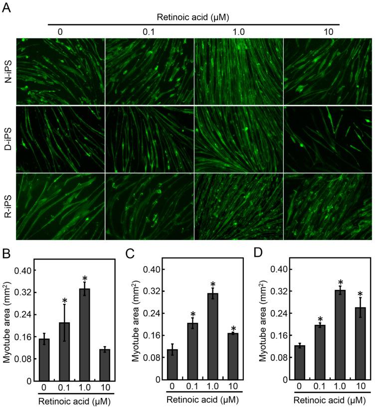 https://cdn.ncbi.nlm.nih.gov/pmc/blobs/560c/8534131/a8786747bb56/cells-10-02556-g001.jpg