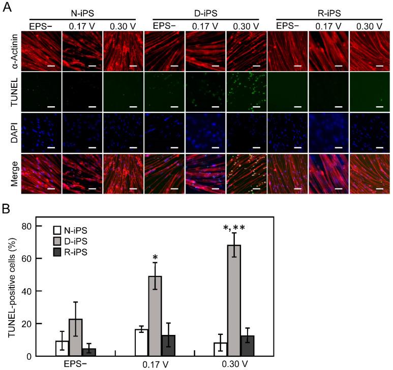 https://cdn.ncbi.nlm.nih.gov/pmc/blobs/560c/8534131/c9dfd34c3af5/cells-10-02556-g003.jpg