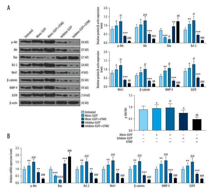 https://cdn.ncbi.nlm.nih.gov/pmc/blobs/560d/7901158/8a23beb80502/medscimonit-27-e923660-g004.jpg