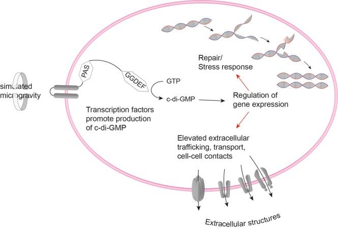 https://cdn.ncbi.nlm.nih.gov/pmc/blobs/5610/6895123/383bdb0cef74/41598_2019_54742_Fig6_HTML.jpg