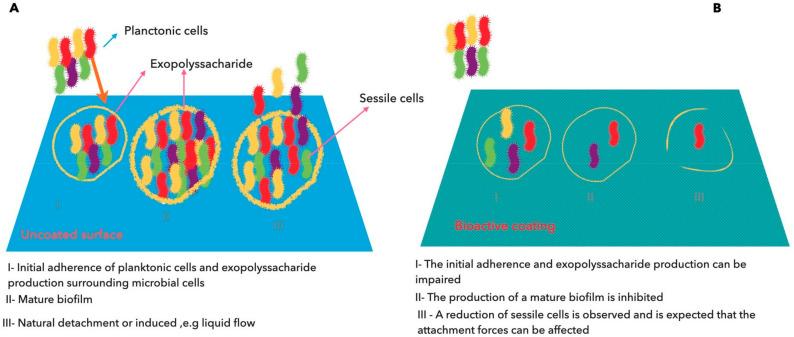 https://cdn.ncbi.nlm.nih.gov/pmc/blobs/5611/7555169/aa75b3e5b044/ijms-21-06633-g002.jpg