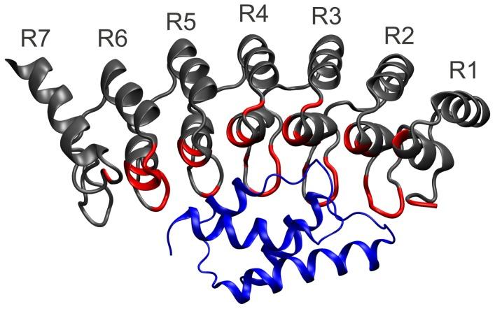 https://cdn.ncbi.nlm.nih.gov/pmc/blobs/5615/3547791/dcaf71ee980b/pcbi.1002864.g001.jpg