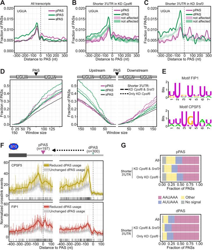https://cdn.ncbi.nlm.nih.gov/pmc/blobs/5615/7948361/16be893f2674/13059_2021_2298_Fig7_HTML.jpg