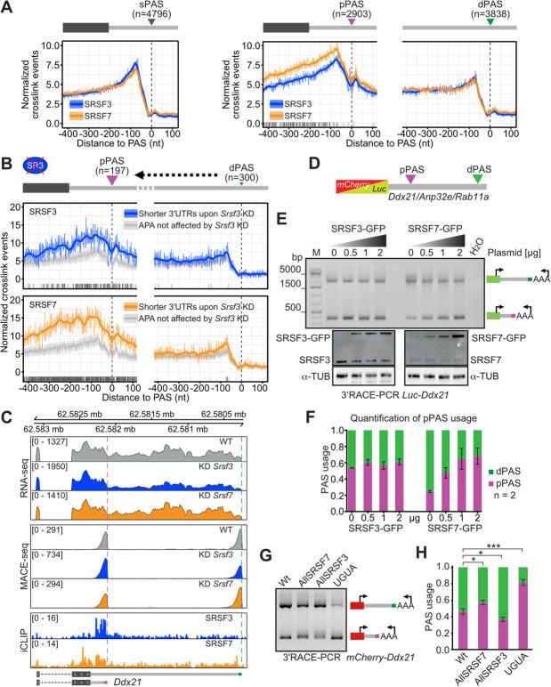 https://cdn.ncbi.nlm.nih.gov/pmc/blobs/5615/7948361/3d6f1ee2f6e3/13059_2021_2298_Fig2_HTML.jpg