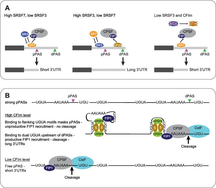 https://cdn.ncbi.nlm.nih.gov/pmc/blobs/5615/7948361/4d41eb2fa5f6/13059_2021_2298_Fig8_HTML.jpg