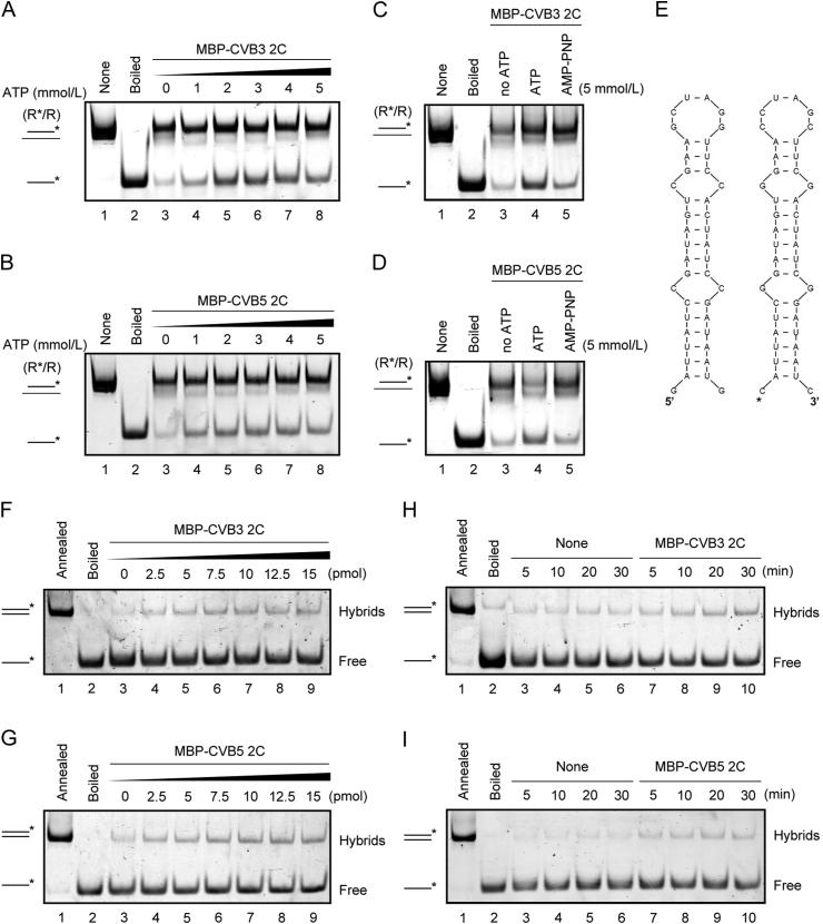 https://cdn.ncbi.nlm.nih.gov/pmc/blobs/5616/9583185/01743408717a/gr6.jpg