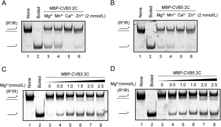 https://cdn.ncbi.nlm.nih.gov/pmc/blobs/5616/9583185/5b2601306e68/gr4.jpg