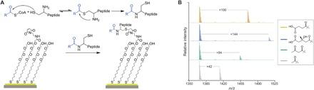 https://cdn.ncbi.nlm.nih.gov/pmc/blobs/5617/6551189/3d7224134c5c/aaw9180-F1.jpg