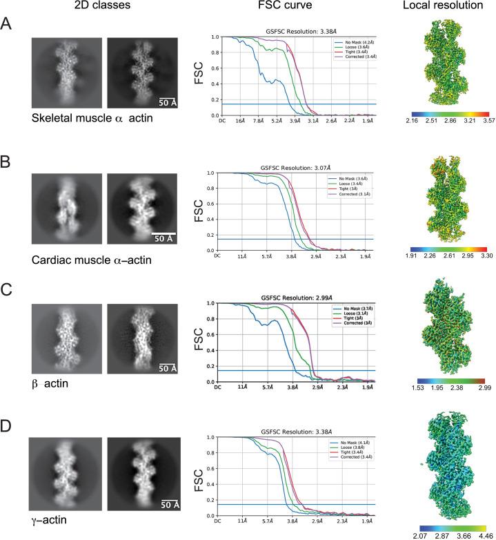 https://cdn.ncbi.nlm.nih.gov/pmc/blobs/5618/10072879/2be7314c8bff/elife-82015-fig1-figsupp2.jpg