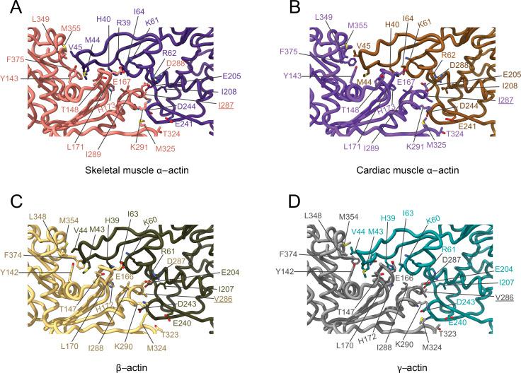 https://cdn.ncbi.nlm.nih.gov/pmc/blobs/5618/10072879/e80a58f4f3ec/elife-82015-fig5.jpg