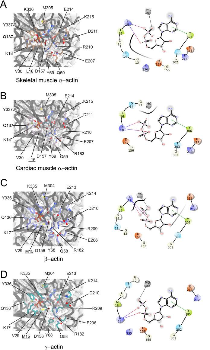 https://cdn.ncbi.nlm.nih.gov/pmc/blobs/5618/10072879/f4eec133f1bb/elife-82015-fig2.jpg