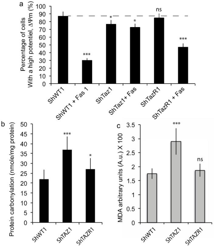 https://cdn.ncbi.nlm.nih.gov/pmc/blobs/5618/7589545/923590f43472/cells-09-02333-g002.jpg