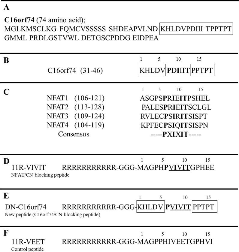 https://cdn.ncbi.nlm.nih.gov/pmc/blobs/5619/5768354/76641b384d0d/oncotarget-08-113662-g001.jpg