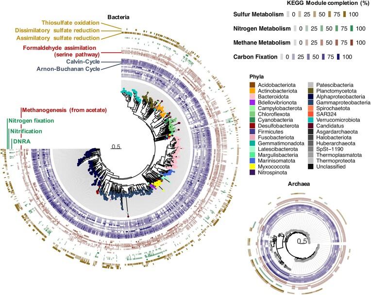 https://cdn.ncbi.nlm.nih.gov/pmc/blobs/561c/11756291/95df8377af91/fuae031fig2.jpg