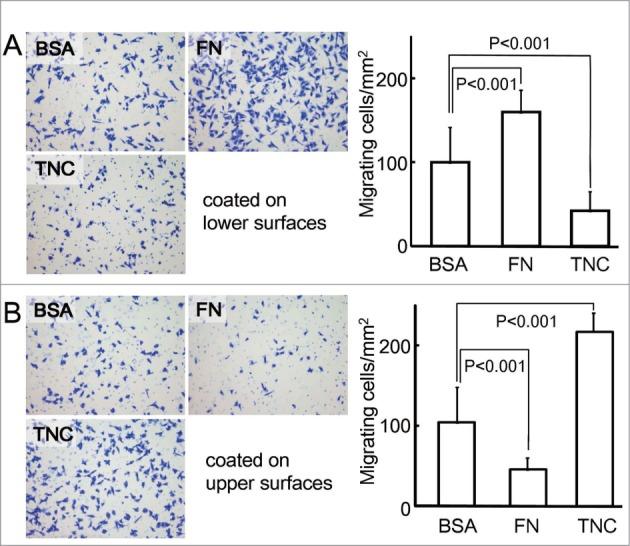 https://cdn.ncbi.nlm.nih.gov/pmc/blobs/561d/4422796/231560135540/kcam-09-96-g004.jpg