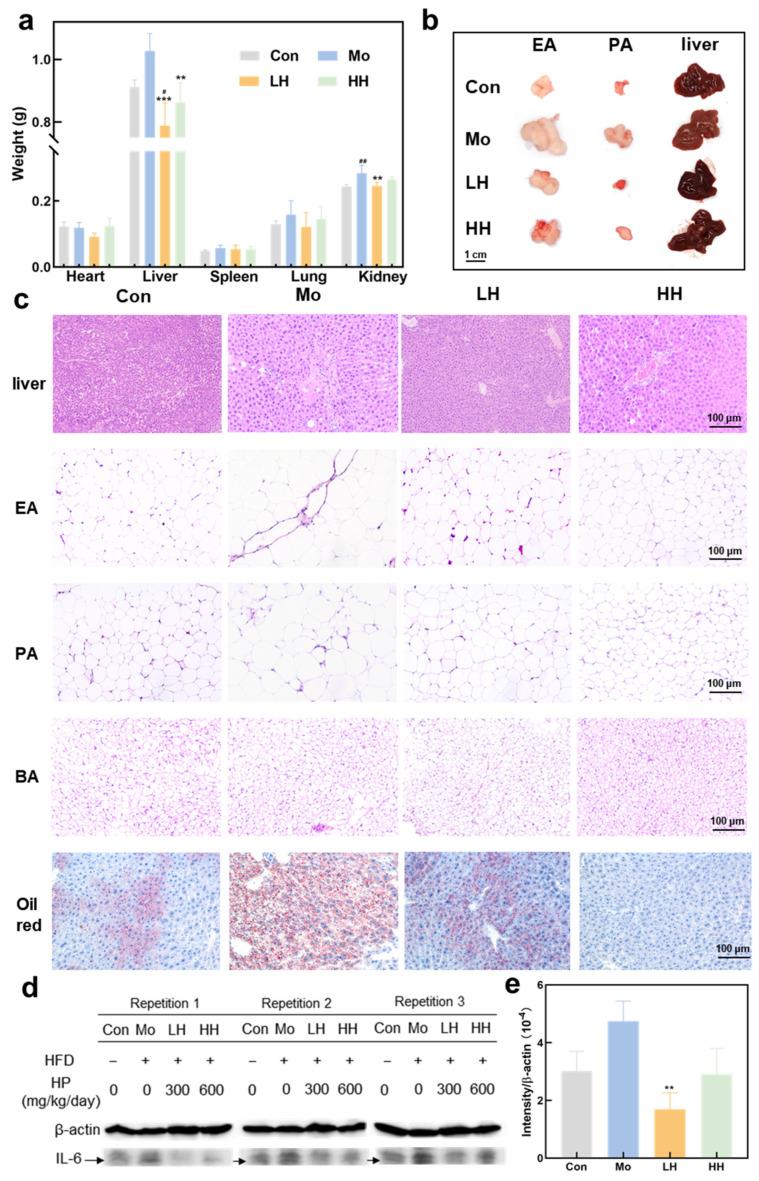 https://cdn.ncbi.nlm.nih.gov/pmc/blobs/561e/12349671/76d87bdd4a73/plants-14-02393-g003.jpg