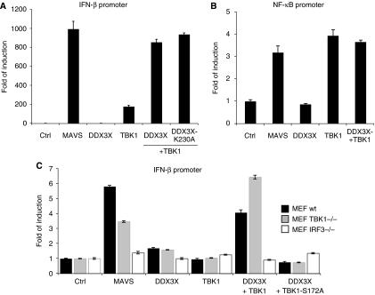 https://cdn.ncbi.nlm.nih.gov/pmc/blobs/561e/2516878/73f2a1c524a7/emboj2008126f4.jpg