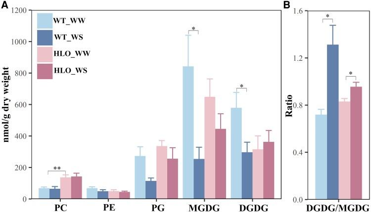 https://cdn.ncbi.nlm.nih.gov/pmc/blobs/5624/12063589/0cc99aac9194/kiaf151f6.jpg