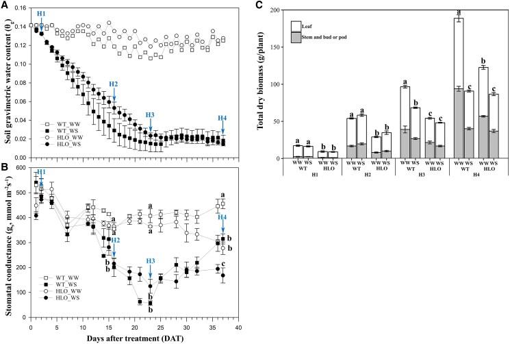 https://cdn.ncbi.nlm.nih.gov/pmc/blobs/5624/12063589/763e692e4f20/kiaf151f2.jpg