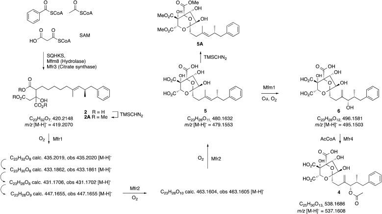 https://cdn.ncbi.nlm.nih.gov/pmc/blobs/5624/6349020/05254d65d58c/c8sc02615g-s2.jpg