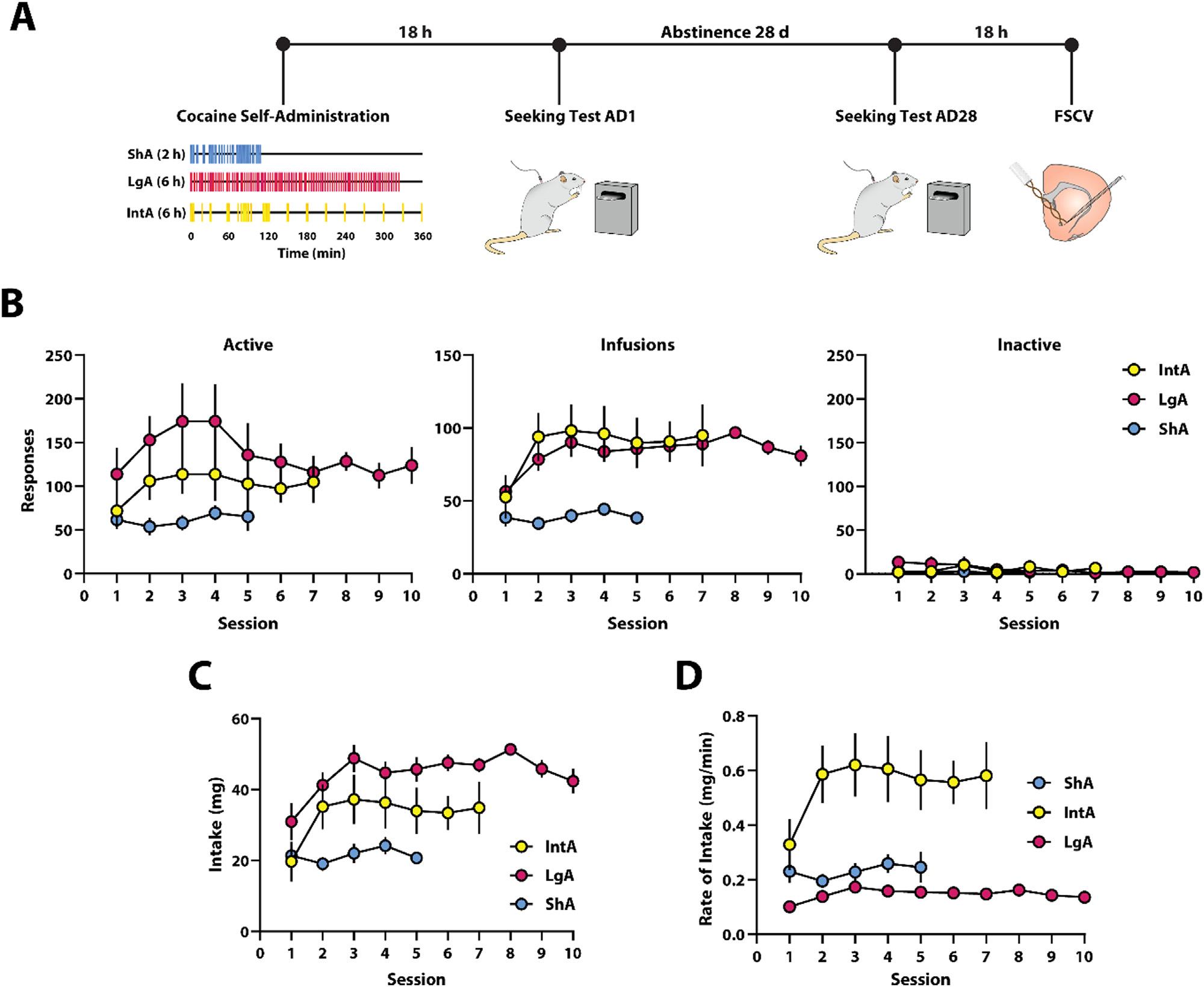 https://cdn.ncbi.nlm.nih.gov/pmc/blobs/5624/9451023/3fa82d9be233/nihms-1829269-f0001.jpg