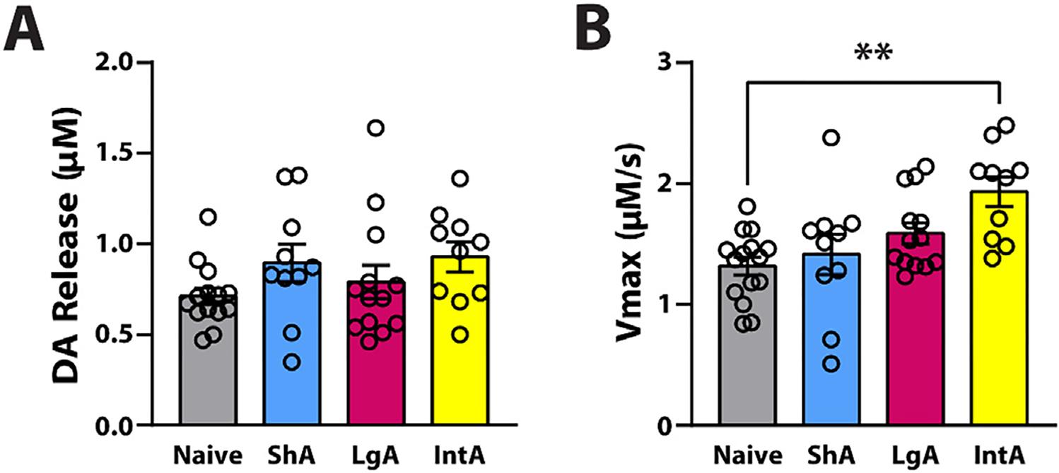 https://cdn.ncbi.nlm.nih.gov/pmc/blobs/5624/9451023/a9e39bd34bdc/nihms-1829269-f0003.jpg