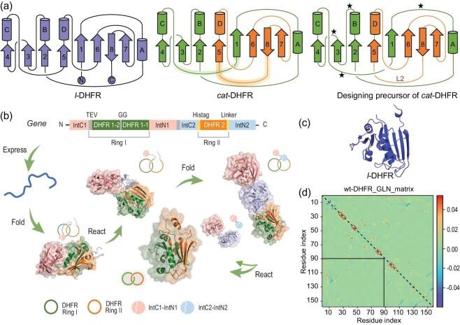 https://cdn.ncbi.nlm.nih.gov/pmc/blobs/5625/10769465/7f96584f1f86/nwad304fig1.jpg