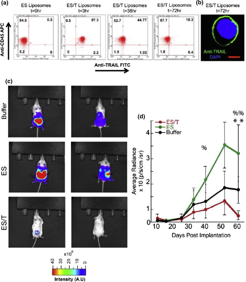 https://cdn.ncbi.nlm.nih.gov/pmc/blobs/5625/6816665/290a531c09c8/12195_2017_497_Fig4_HTML.jpg
