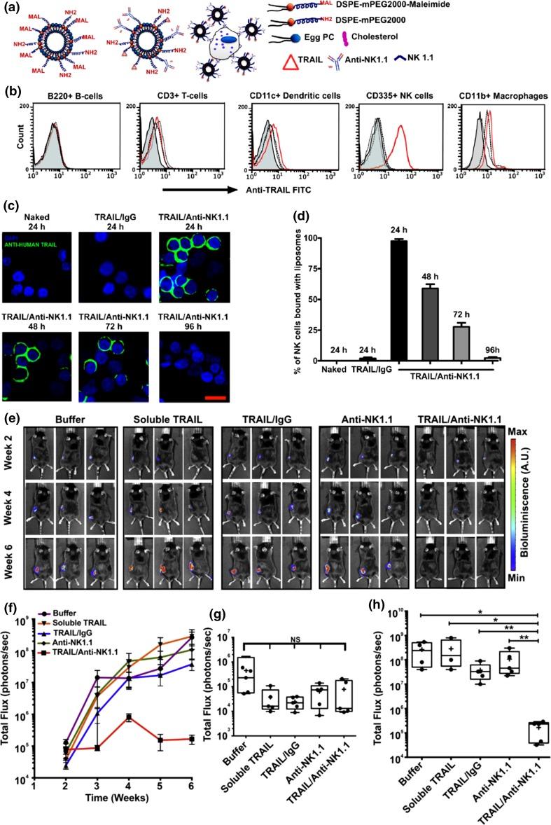 https://cdn.ncbi.nlm.nih.gov/pmc/blobs/5625/6816665/a52d23ecbefc/12195_2017_497_Fig5_HTML.jpg