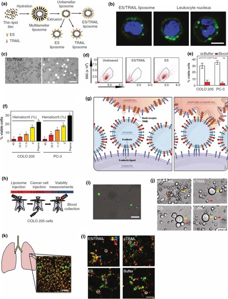 https://cdn.ncbi.nlm.nih.gov/pmc/blobs/5625/6816665/e711a33b435c/12195_2017_497_Fig3_HTML.jpg