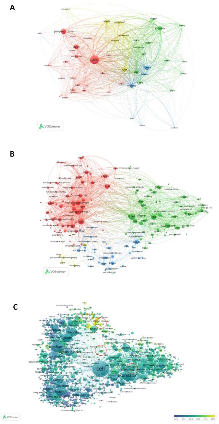 https://cdn.ncbi.nlm.nih.gov/pmc/blobs/5627/8990428/ae28f6859a8c/jcav13p1785g004.jpg