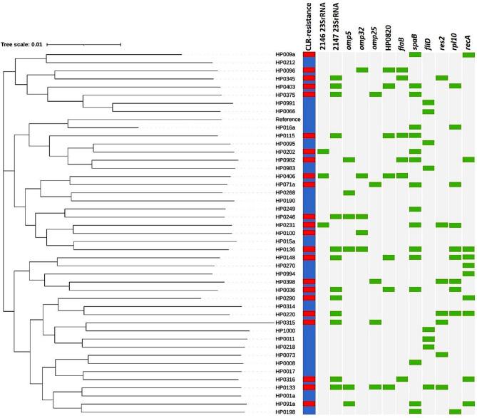 https://cdn.ncbi.nlm.nih.gov/pmc/blobs/5628/11362316/54784f20ffde/41598_2024_70977_Fig2_HTML.jpg