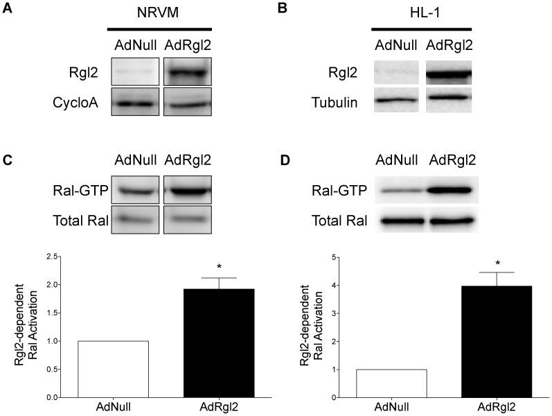 https://cdn.ncbi.nlm.nih.gov/pmc/blobs/562b/3775766/3a746e1aeb49/pone.0073599.g004.jpg