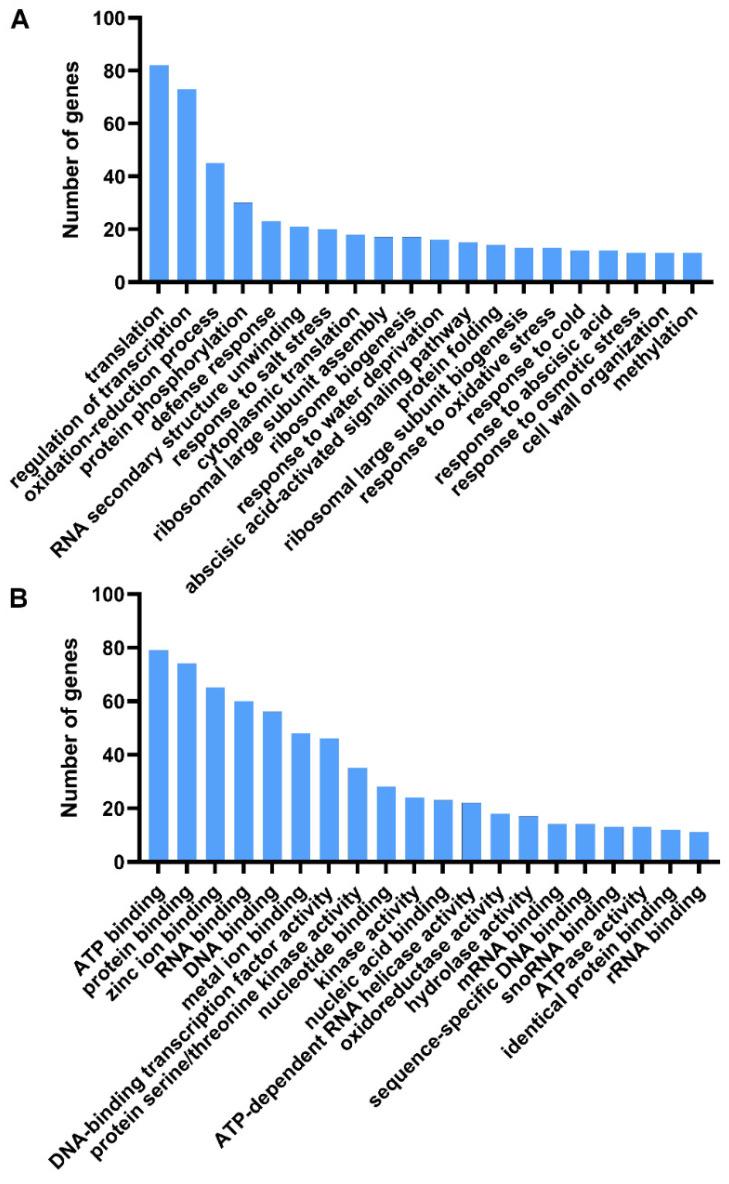 https://cdn.ncbi.nlm.nih.gov/pmc/blobs/562e/9689952/b85b65b79ad9/genes-13-01989-g003.jpg