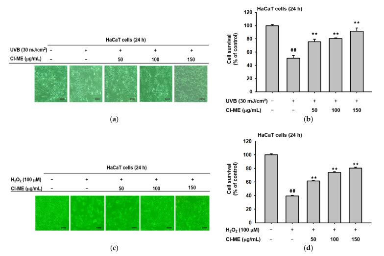 https://cdn.ncbi.nlm.nih.gov/pmc/blobs/5631/8747116/073827bbbc3c/plants-11-00094-g002a.jpg